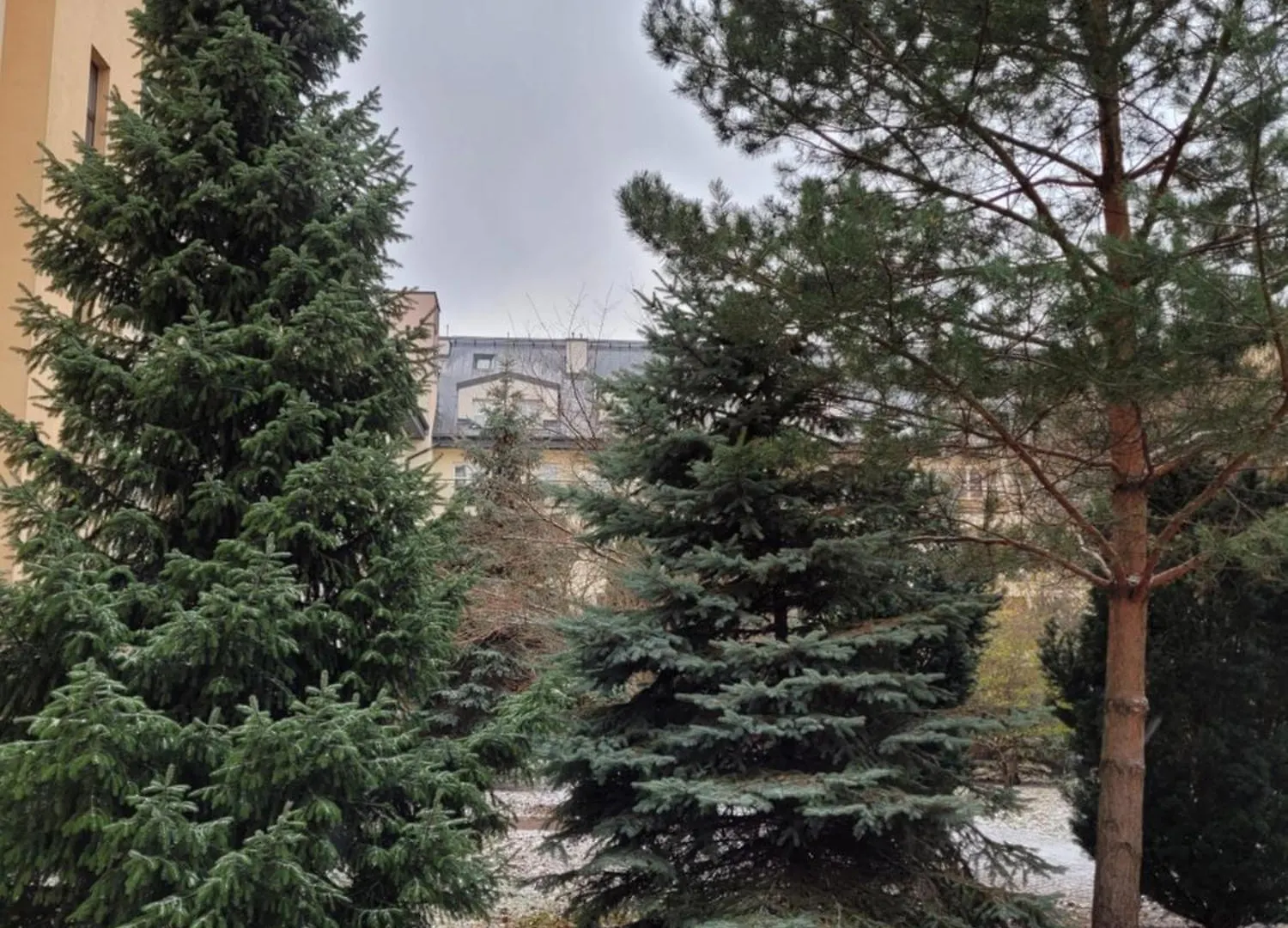 דירות ורשה Apartament Czerwone Maki פולין